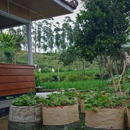 Mini Villa Nes Ciwidey 8-Person